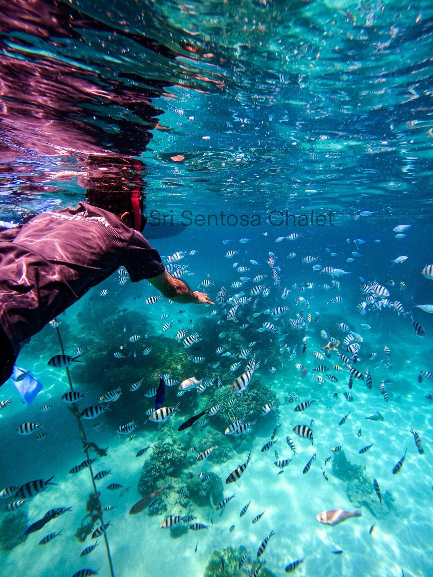 Sri Sentosa Chalet Kampong Mukut Eksteriør bilde